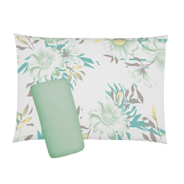 Jogo de Lençol - Linha Esplendor - Fio 30/1 Penteado - 100% Algodão-Dach